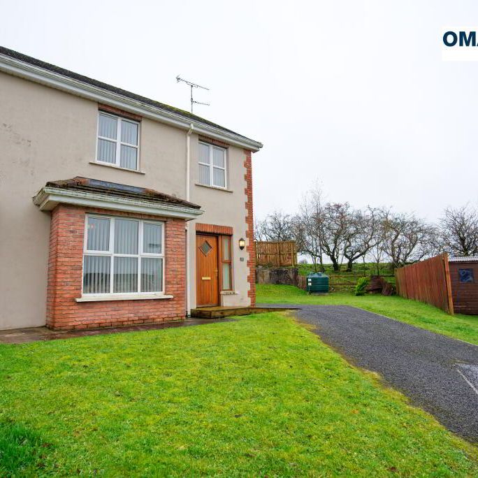 37 Drumman Glen, Loughmacrory, BT79 9LY - Photo 1
