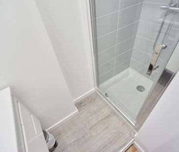 POINCARE Roommate 4 Bedrooms at Nancy - Photo 3