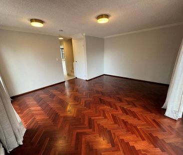 Mt Lawley Townhouse with beautiful large private yard - Photo 1