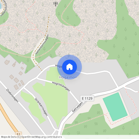 Högamonvägen, Finspång