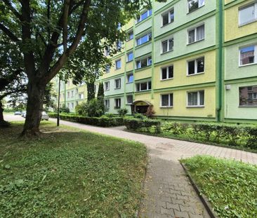 2-pokojowe mieszkanie, osobna kuchnia, centrum 44.1 m² - Zdjęcie 3