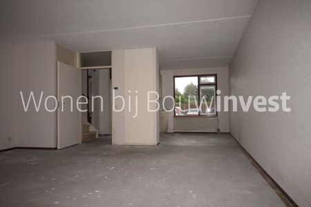 Safarigeel 36 - Foto 4