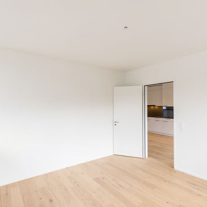 3.5 Zimmer, 78 m², 2. Stock - Foto 1