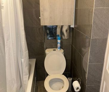 Room in a Shared House, Dunedin Road, E10 - Photo 5