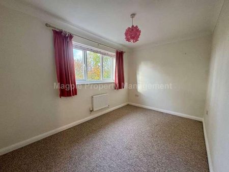 Hawkesford Way, St Neots, PE19 - Photo 5