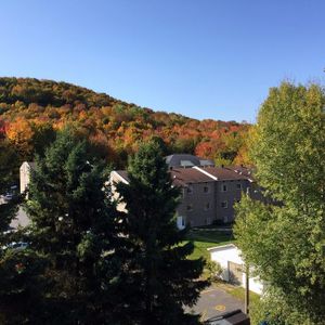 4 1/2 Bromont - Photo 2