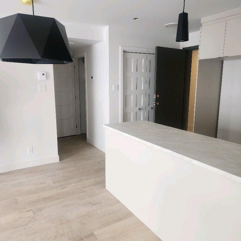 Condo neufs 2 chambres animaux acceptés - Photo 1