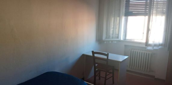 Stanza singola via San Donato libera dal 25 maggio - Photo 2
