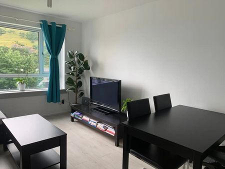 1 Bed Flat, Viewcraig Gardens, EH8 - Photo 2