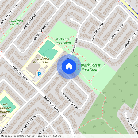 8 Bunchberry Way Unit# Bsmt, Brampton