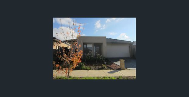 4 Bedroom Family Home ! - Photo 1