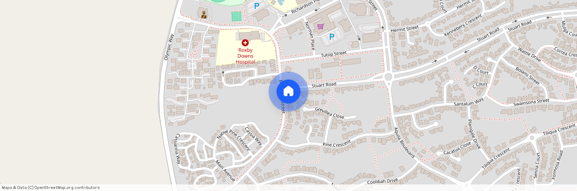 41 Burgoyne St, SA 5725, Roxby Downs