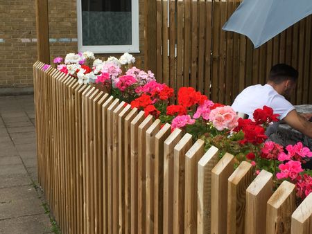 Östergatan, Landskrona - Photo 4