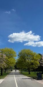 Levertinsgatan 16, 75430, Uppsala - Photo 4