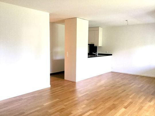 3.5 Zimmer, 79 m², 1. Stock - Photo 1