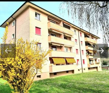 3.5 Zimmer, 63 m² - Photo 5