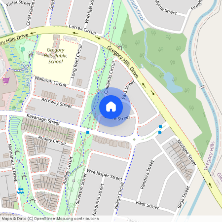 9 Junee Street, NSW 2557, Gregory Hills