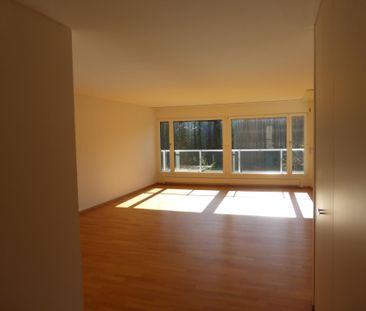 Grosszügige Wohnung an ruhiger Lage im Schöngrund - Olten - Photo 1