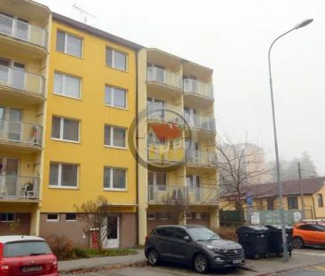Pronájem útulného bytu 2+1 ul. Mládežnická - Photo 3