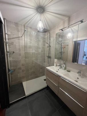 Location Appartement 2 pièces Meublé 51m² CALUIRE ET CUIRE 69300 - Photo 1