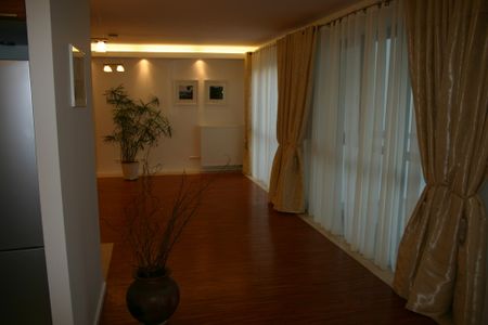 Apartament na wynajem, ul. Stanisława Kostki Potockiego, Warszawa Wilanów - Zdjęcie 3
