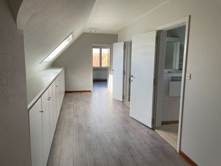 VILLA + kleine weide - Foto 3