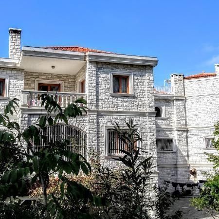 Βίλα για ενοικίαση Καπιτένια (Άγιος Στέφανος) - Photo 1