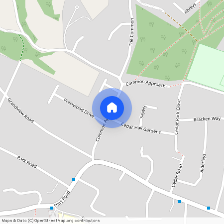 Common Approach, Thundersley