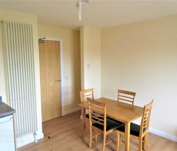 Great Apartment, 101a Rugby Avenue, Queens University Quarter, Belfast - Photo 6