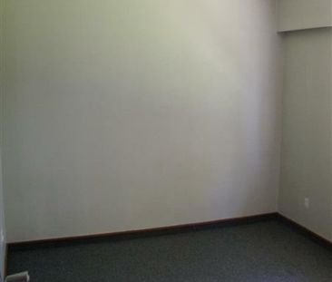 Fully furnished in Havelock North! Available Soon - Photo 2