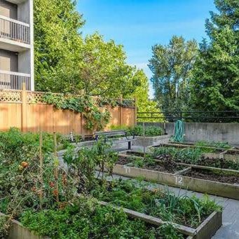 Underground Parking, Community Garden, Social Room - Photo 3