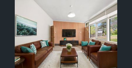 Marvellous Monty - Photo 5