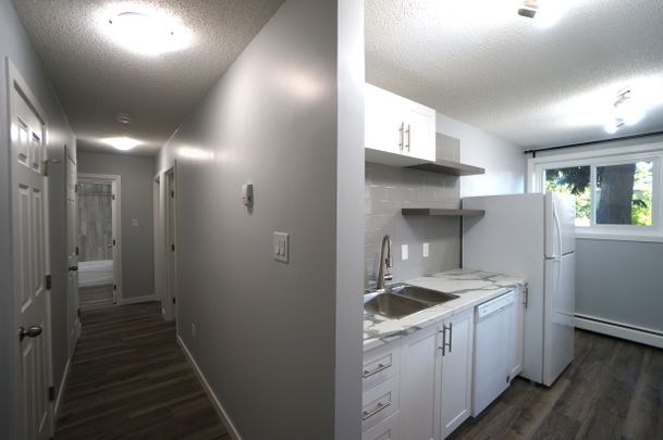 AMAZING newly reno'd Apartment in Lacombe! CATS OK! - Photo 1