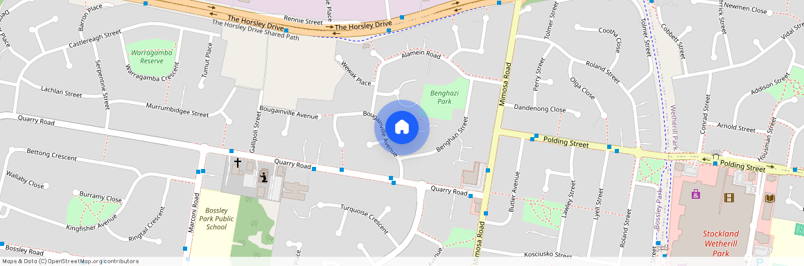 9 Tobruk Place, NSW 2176, Bossley Park