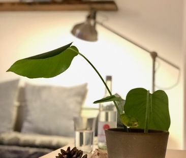 Harmonisch & Ruhig - Apartment in ruhiger Lage Nähe Subbelratherstraße - Foto 1