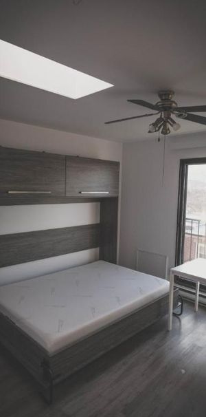 1 1/2 - Montréal (La Petite-Patrie) - 950 $/mois - Photo 1