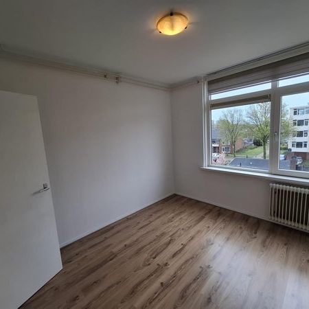 Jacob van Ruysdaelstraat - Photo 1