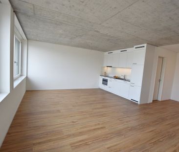 Appartement moderne de 2,5 pièces avec grande terrasse commune sur ... - Foto 4