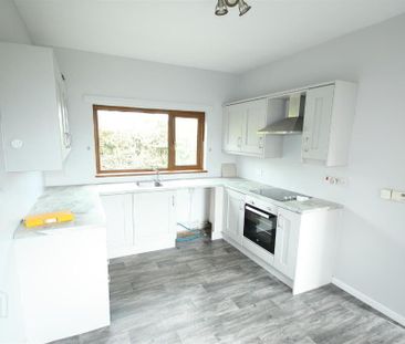 65 Creevyargon Road, Ballynahinch, BT24 8YF - Photo 5