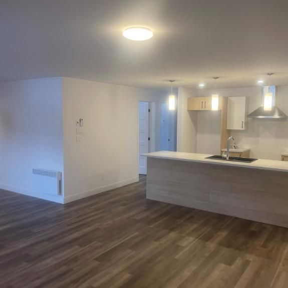 3 CH - 2 SDB - Waterloo - $1,550 /mo - Photo 1