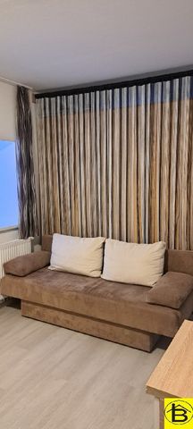 15448 PROVISIONSFREI - Single-Wohnung in Hohenberg - Foto 2