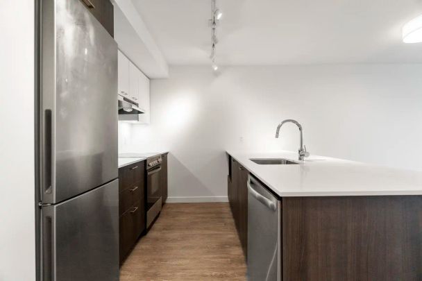Pandora — C14 - Photo 1