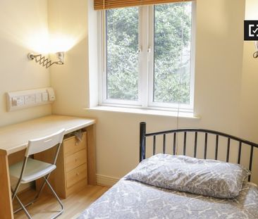 Sunny room in 3-bedroom flatshare in Old City, Dublin - Photo 1