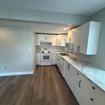 2 bed 2 bath pet friendly lower suite - Photo 1