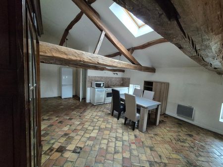 Location Appartement 1 pièce 53m² MACON 71000 - Photo 3