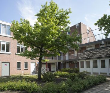 Symphoniesingel - Photo 5
