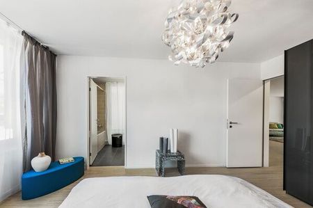 Weissdornhof – the nicer city apartment in Dietikon - Foto 3