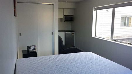 Convenient Studio Apartments Available Now! - Photo 4