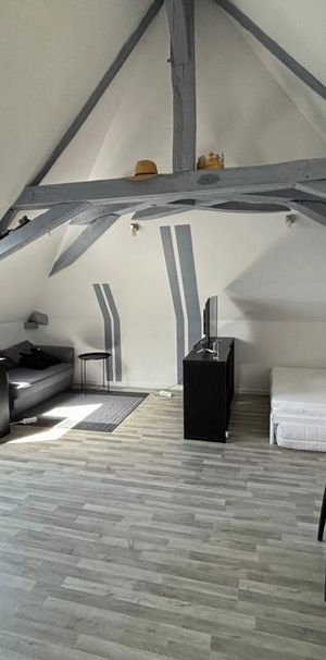 Location Appartement 1 pièce Meublé 23m² CHATEAUBRIANT 44110 - Photo 1
