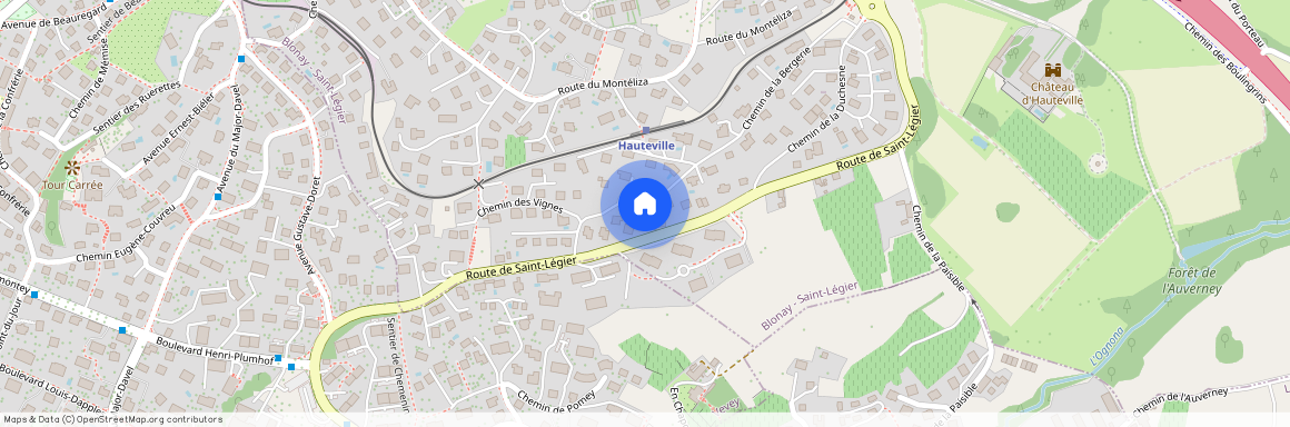 1806, St-Légier-La Chiésaz, Chemin De La Bergerie, 12